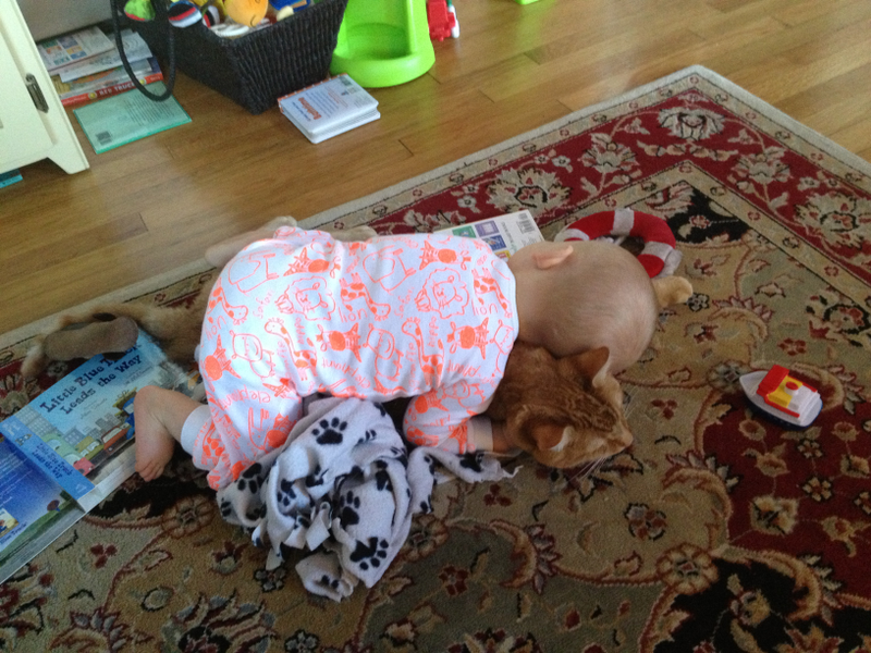 pictured: one very tolerant cat, and one very loving 1-year old